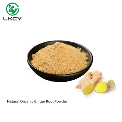 Poudre de racine de gingembre biologique naturelle